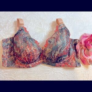 💥Qianziwanli lace Embroidery  Print Sexy Bras 34C